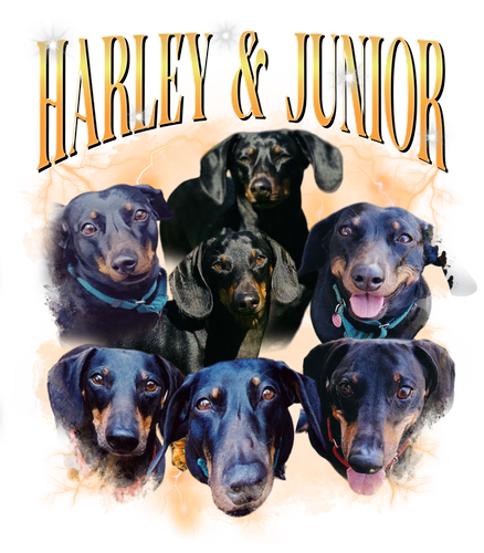 3115072109 Harley & Junior 3.png