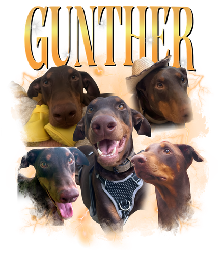 gunther.png