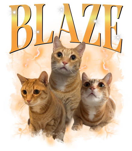 3112955769.png