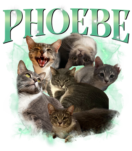 PHOEBE.png