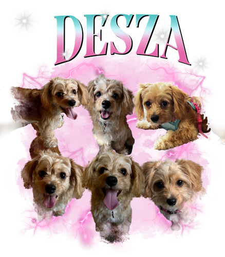 desza.png