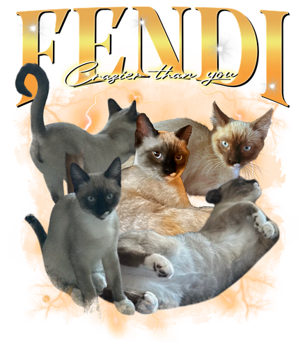 FENDI.png