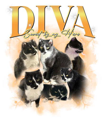 3104987546 diva.png