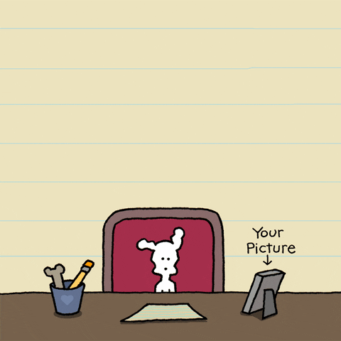 giphy (1).gif