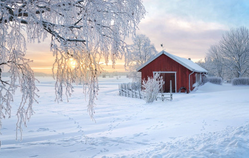 pole barn winter