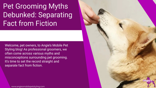 Pet Grooming Myths Debunked Separating Fact from Fiction.jpg