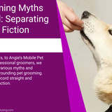 Pet Grooming Myths Debunked Separating Fact from Fiction