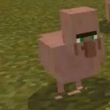 Untitled.jpg