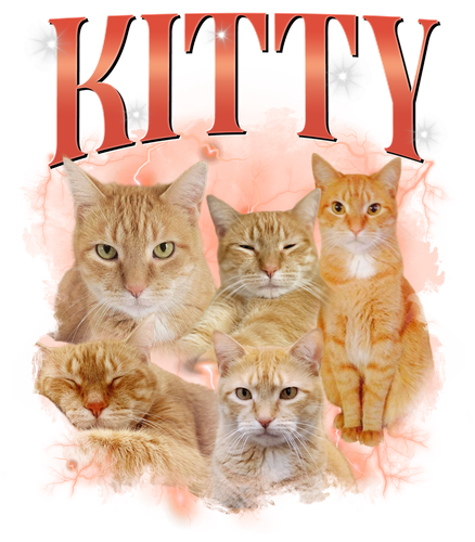 3118005652 Kitty 5.png