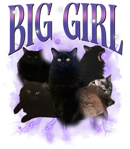 3123563840.png