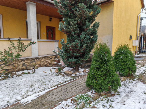 IMG 20231205 145720.jpg