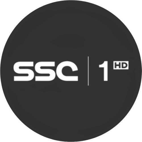 Picsart 23 12 05 14 33 51 767.png