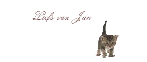 oie overlay (1).gif