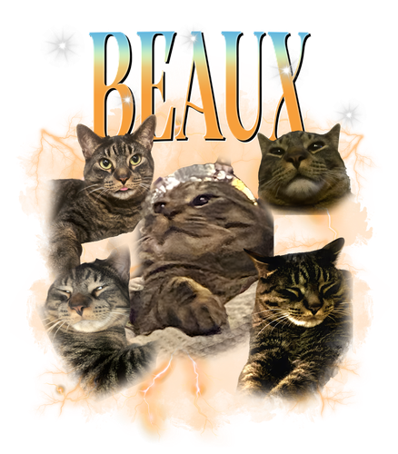 beauz.png