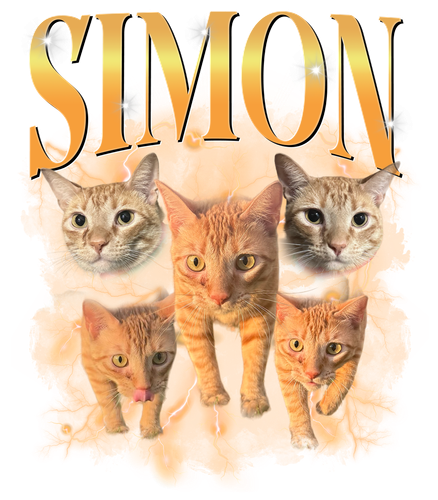 PSD style 1.png