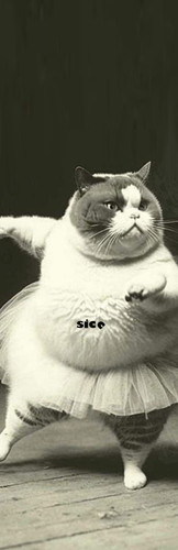 QB S.jpg