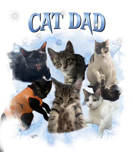 Catdad.png