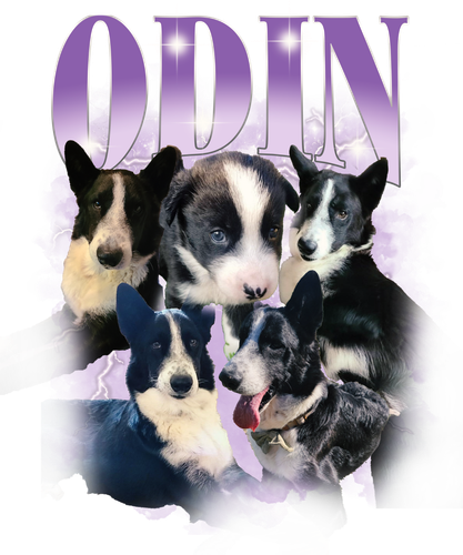 odin.png