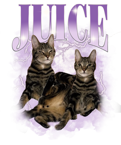 JUICE.png