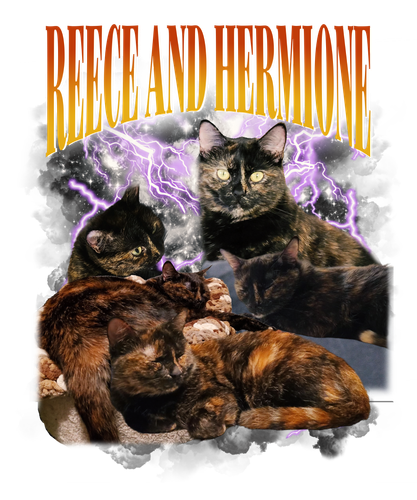 3110486907.png