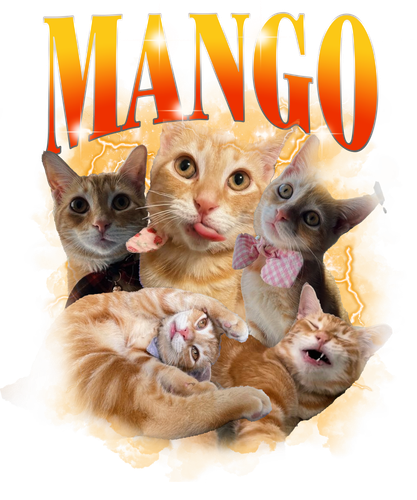 MANGO .png