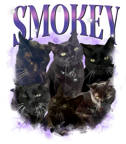 3124938197 + 3133394278 ship nhanh smokey.png