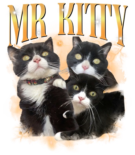 Mr kitty.png