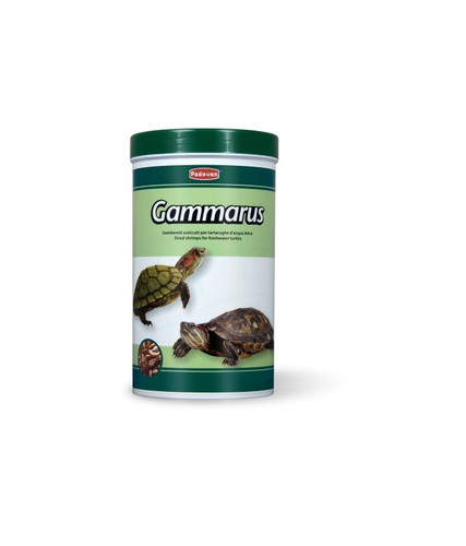 Padovan Gammarus.jpg