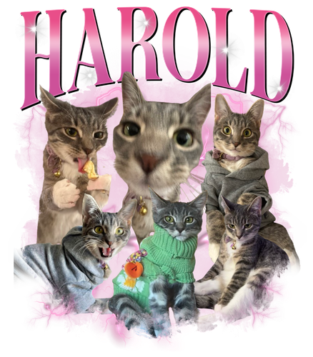 HAROLD.png