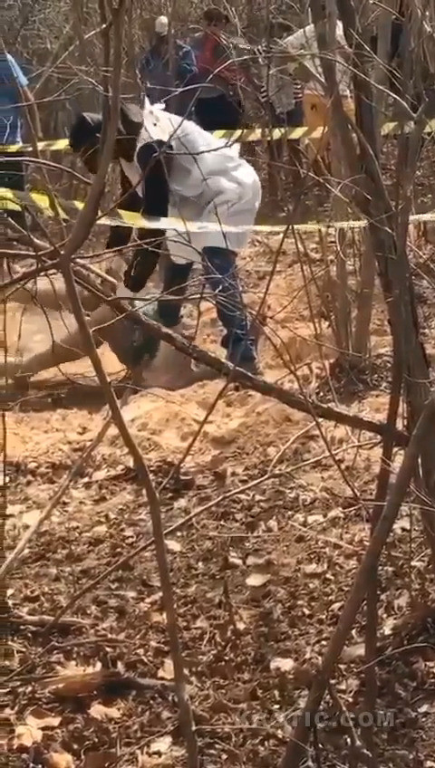 48725aa1342b 4791.jpg