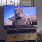 rMX1uAetIodZ5f7.gif