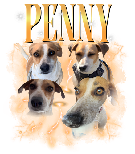 penny.png