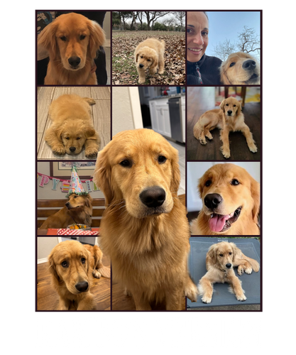 3109261435.png