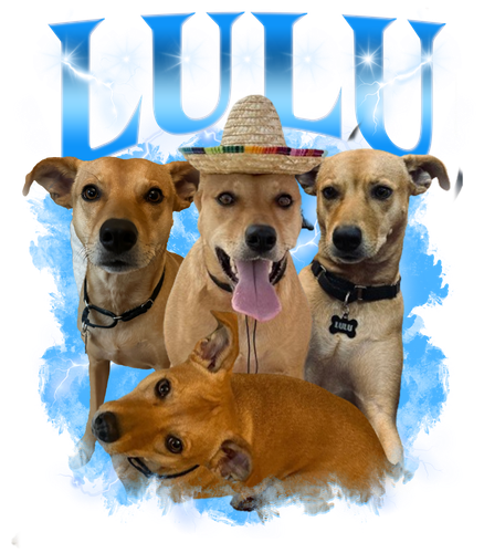 Lulu.png