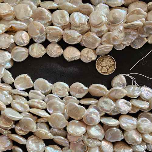 cropped 17017185271415489935790808229067.jpg