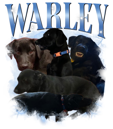 Warley 2