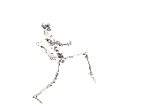 animated gifs skeletons 032.gif.pagespeed.ce.Xzf C63 6M.gif
