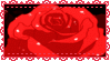 tumblr 7c5f16168a85c37dde871f9a90658008 df9be598 100.gif