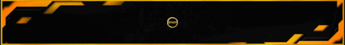 VIDEO BANNER (1).gif