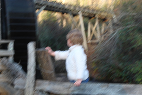 IMG 1056.jpg