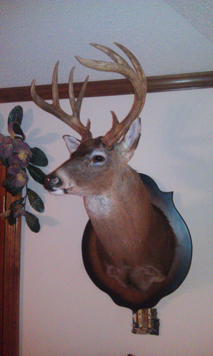 IMAG0189.jpg