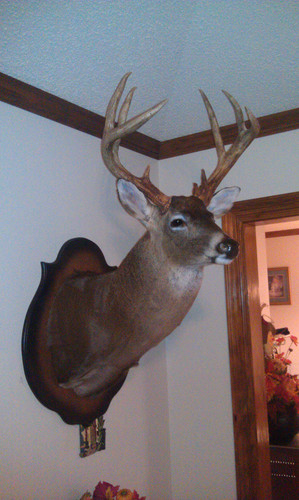 IMAG0190.jpg