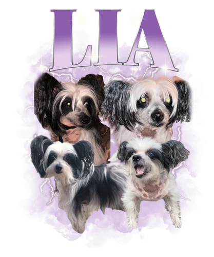 Lia 3109836431.png