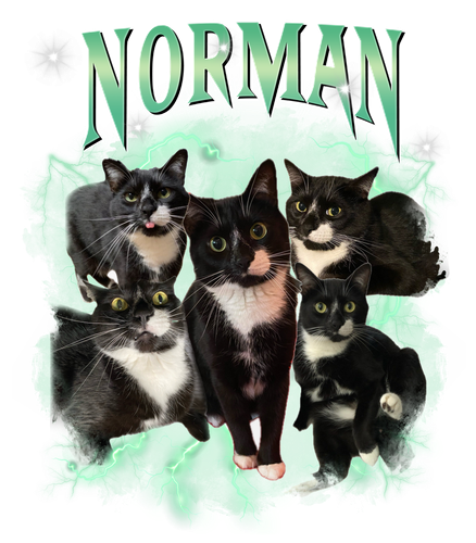 norman.png