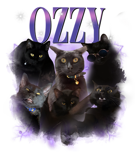 pzzy.png