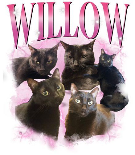 3110801461 Willow Pink (12).png