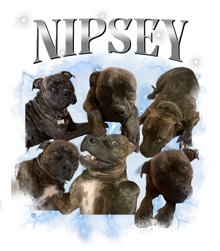 NIPSEY.png