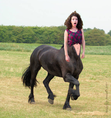 random centaur.jpg