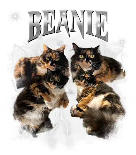 Beanie.png