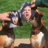 23dda92313bcc4e79be8d22a0a8e1959b18fa831.gif